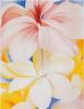 Hibiscus with Plumeria, Georgia O'Keefe