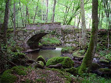 Enchanted Forest, by George Davis