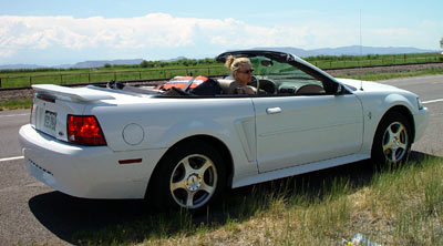 Our Rental Mustang, by George Davis